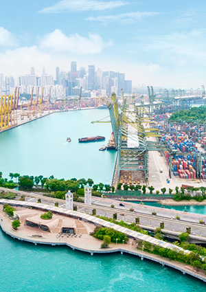 the Port of Singapore